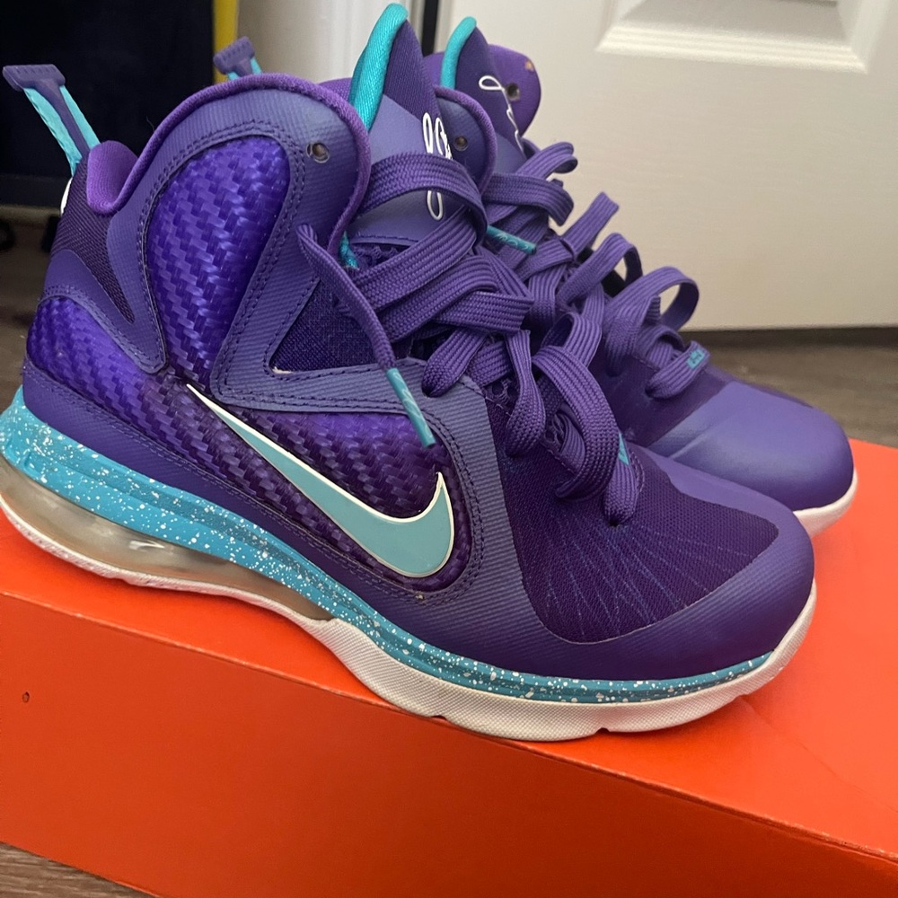 Lebron 9 “hornets” GS 5Y